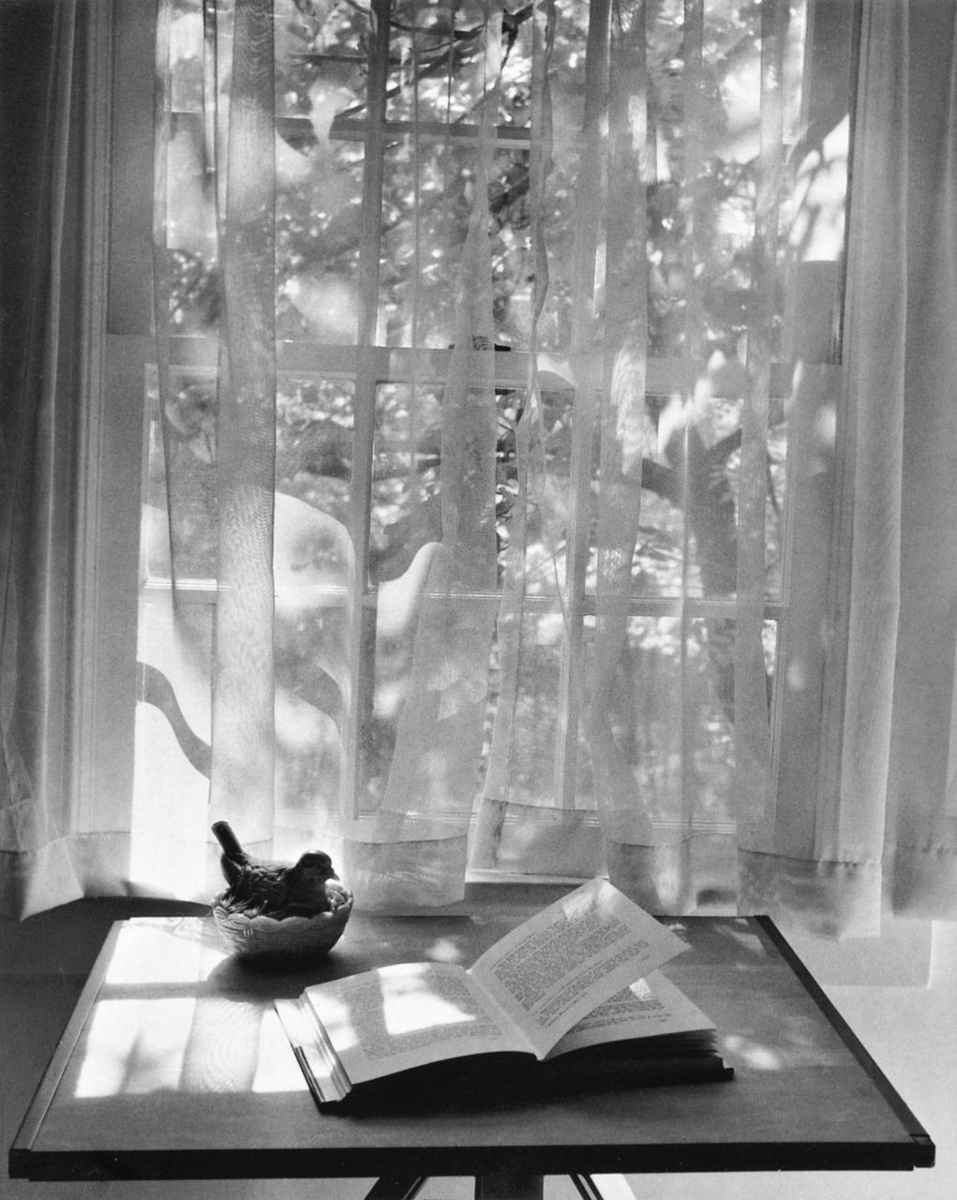 Andre Kertesz: Sixty Years of Photography