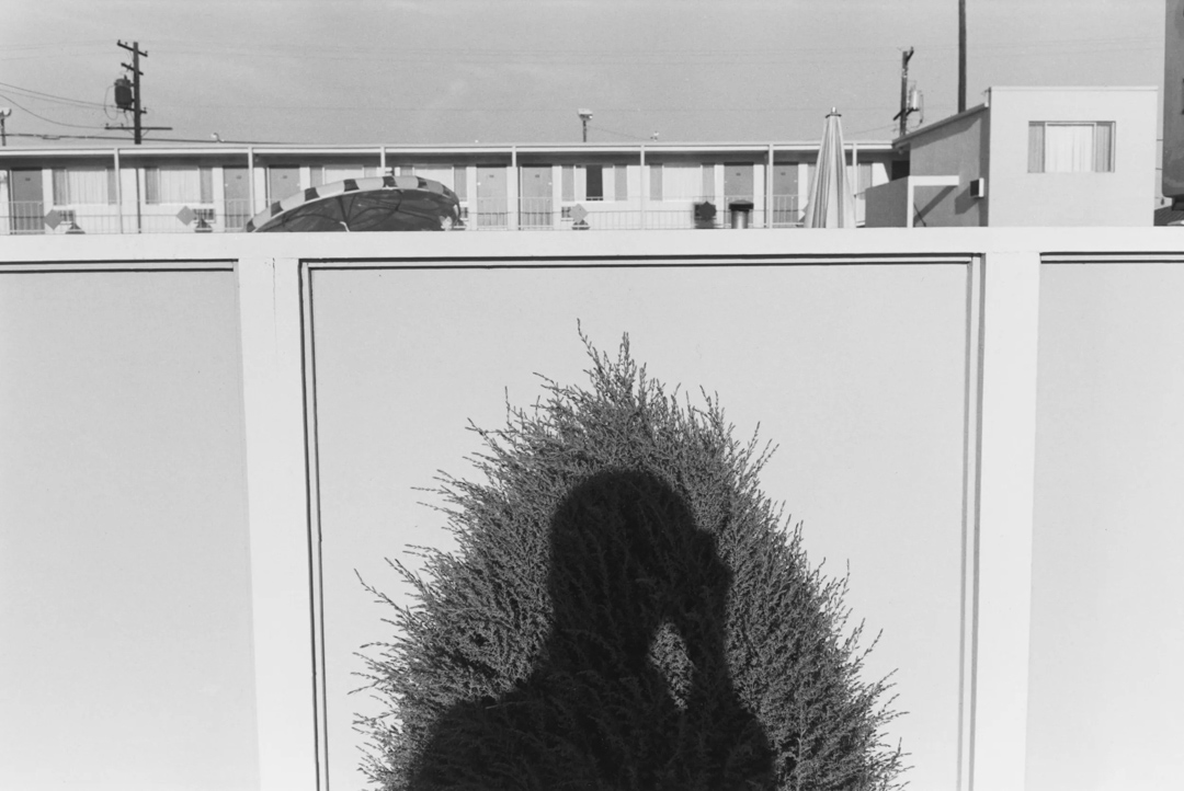 Self Portraits Lee Friedlander 1934 Self Portraits Lee Friedlander 1934