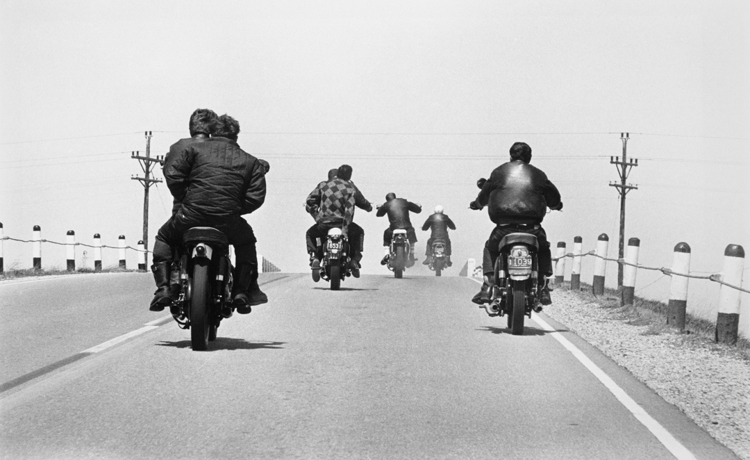 The Bikeriders