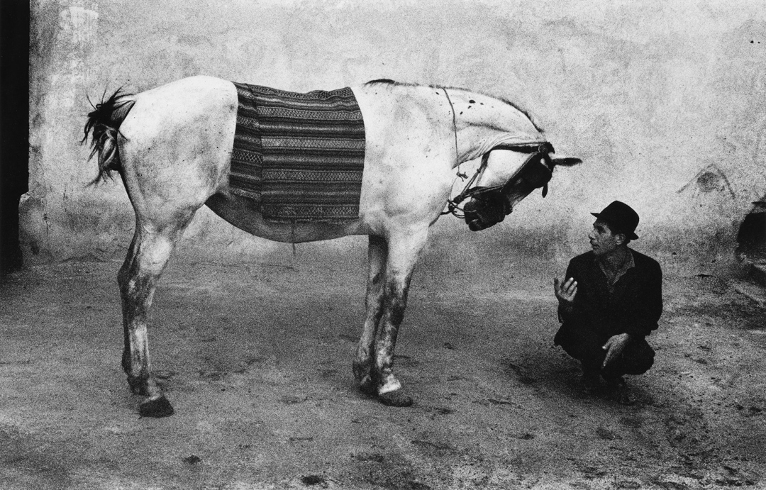 Josef Koudelka: Gitanos スペイン語版 Josef Koudelka: Gitanos スペイン語版