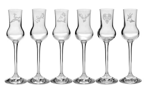 a-34 Set grappa  6/1 