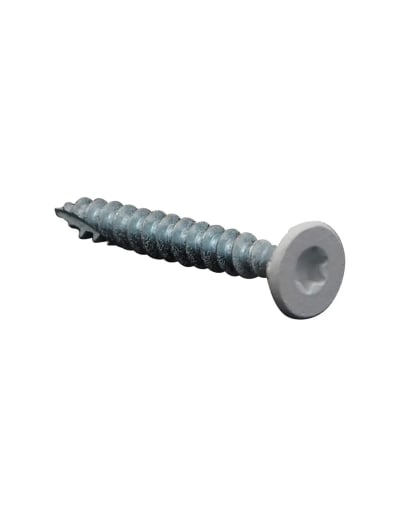 Vis empreinte Torx tête laquée blanc 5,5x40 (100p)