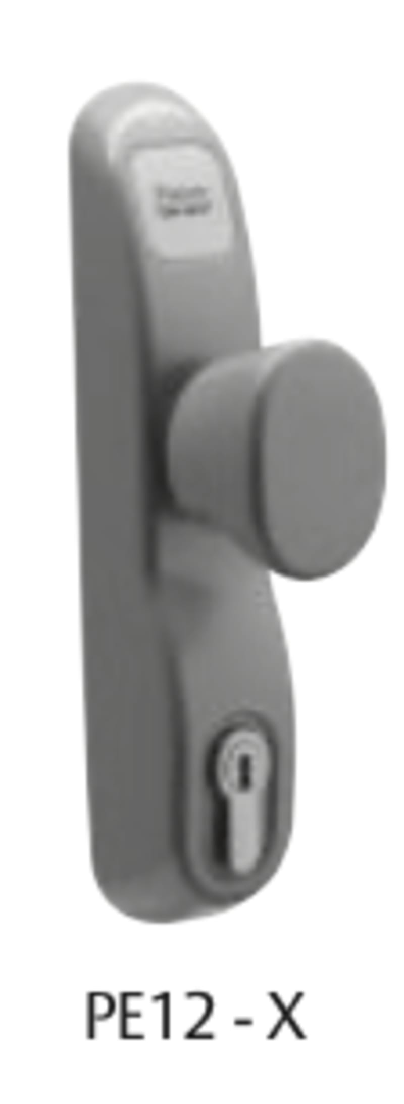 Module extérieur antipanique PE12 - Vachette