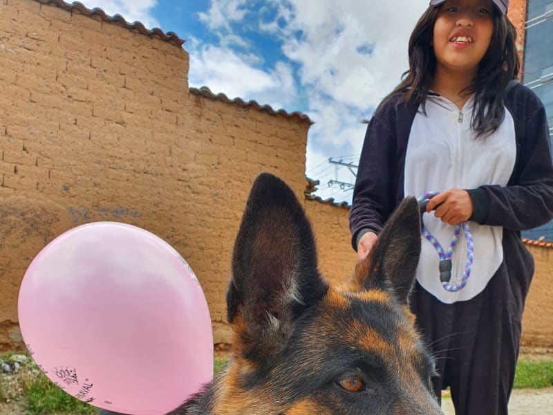 Imagen de mascota 3