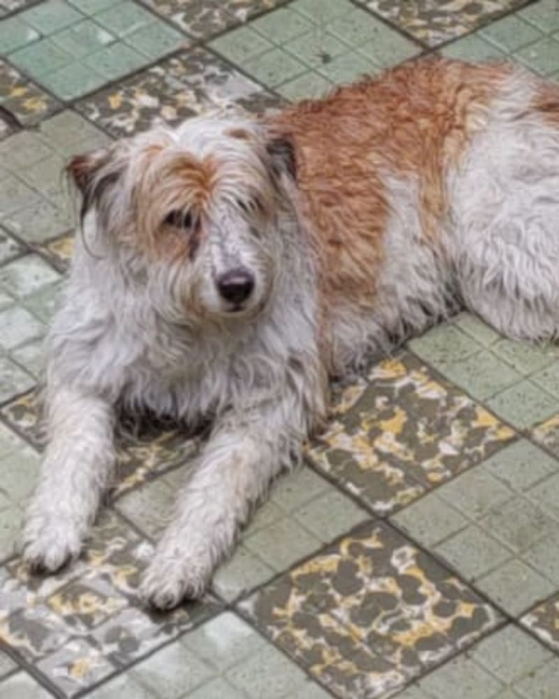 Foto secundaria de LULU