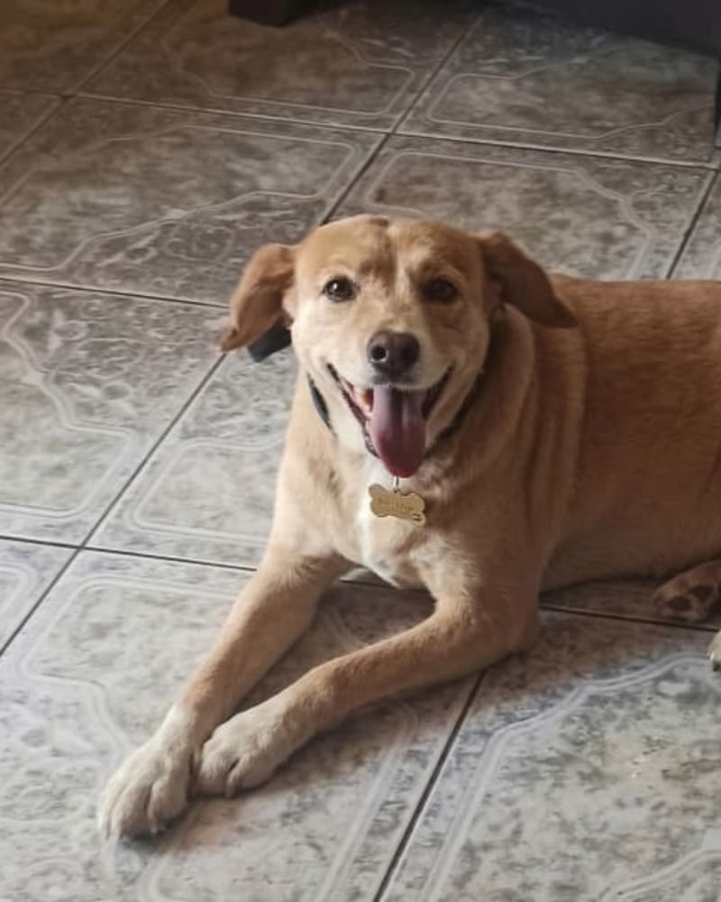 Foto secundaria de Briseyra