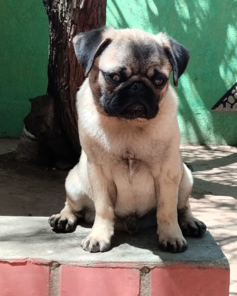 Foto principal de Kian