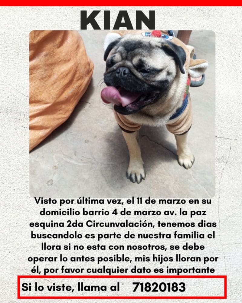 Foto secundaria de Kian