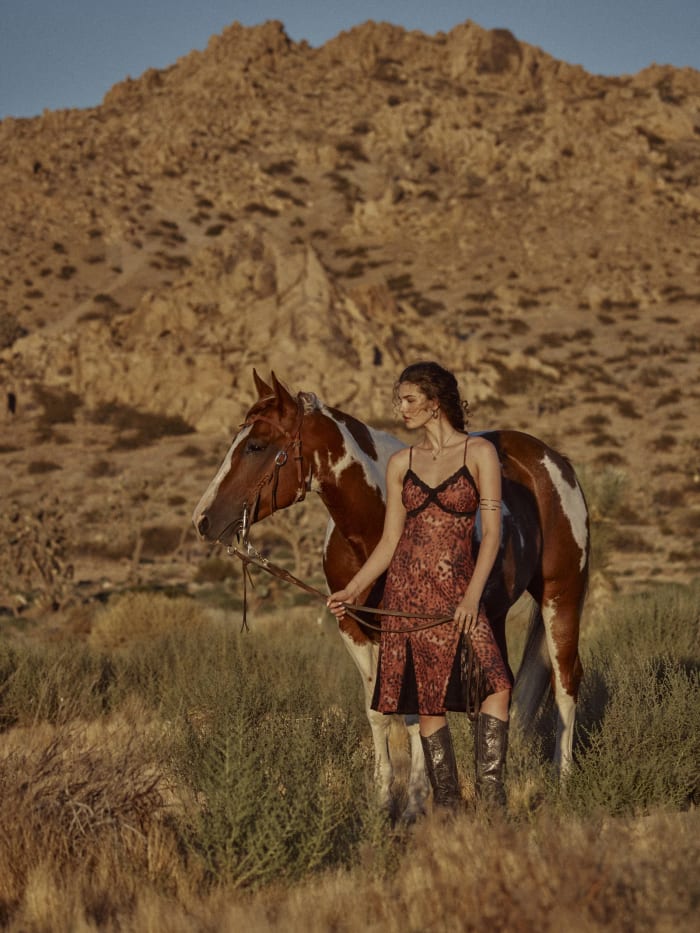 Cider - Western Dreaming - Fall 2024