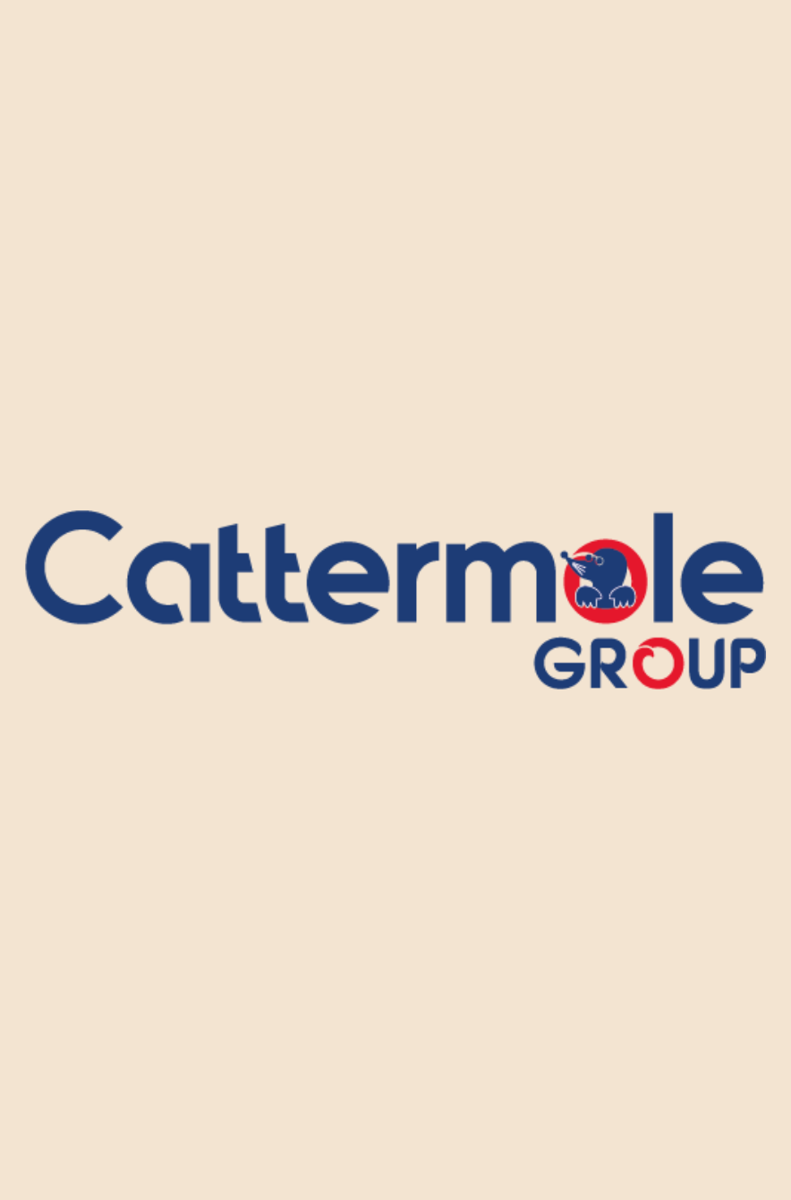 Cattermole Electrical Search & Merchant Center Scaling