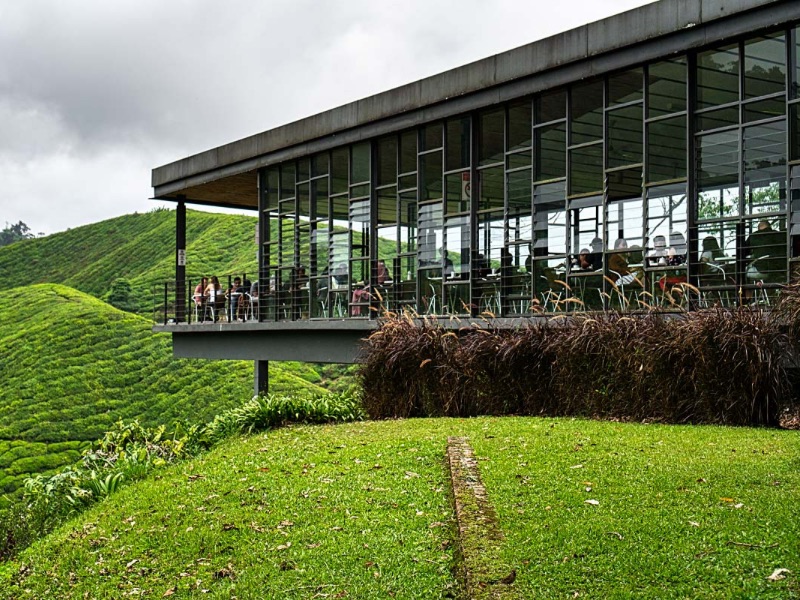 Best of Cameron Highlands Tour Package 3D2N