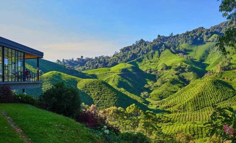 Cameron Highland Nature Tour 2D1N