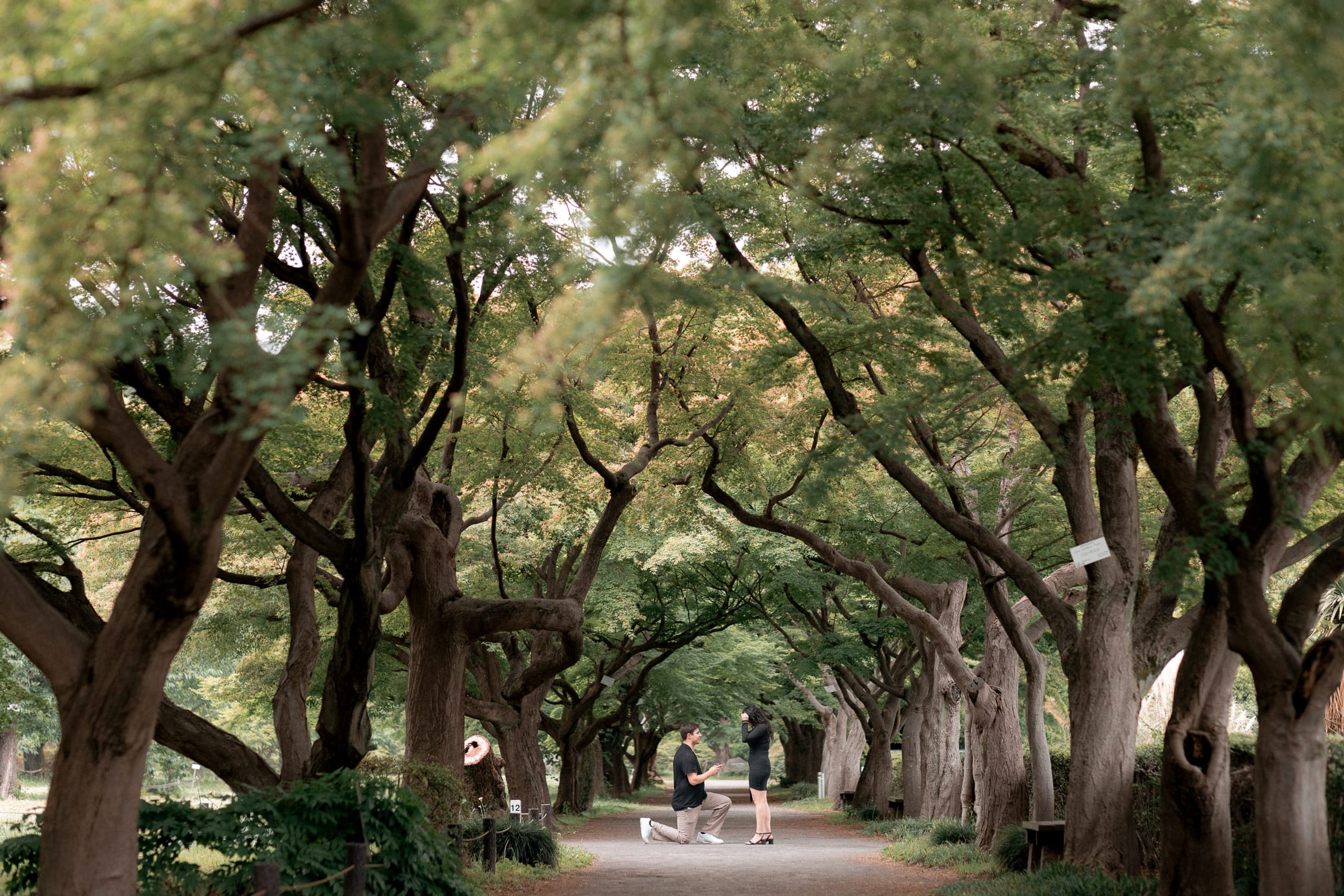 TOKYO ENGAGEMENT, PROPOSAL, PRE-WEDDING AND COUPLE PORTRAIT PHOTOGRAPHY TOKYO ENGAGEMENT, PROPOSAL, PRE-WEDDING AND COUPLE PORTRAIT PHOTOGRAPHY