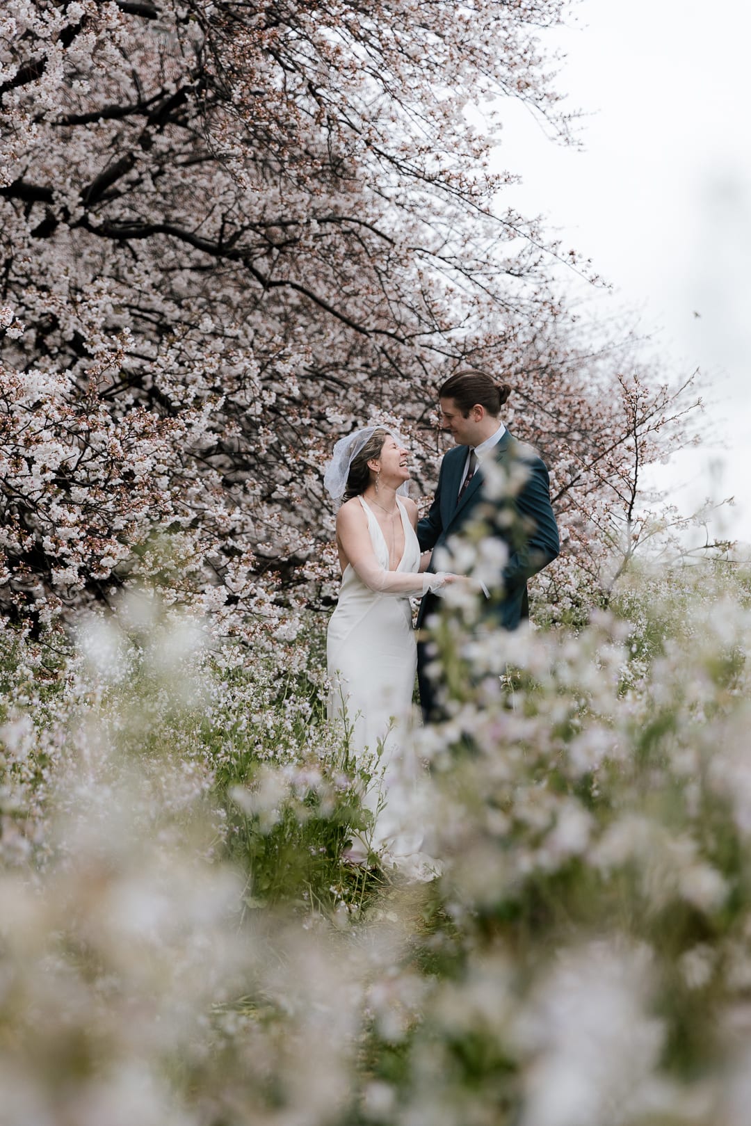 Cherry blossoms Pre wedding photoshoot-3