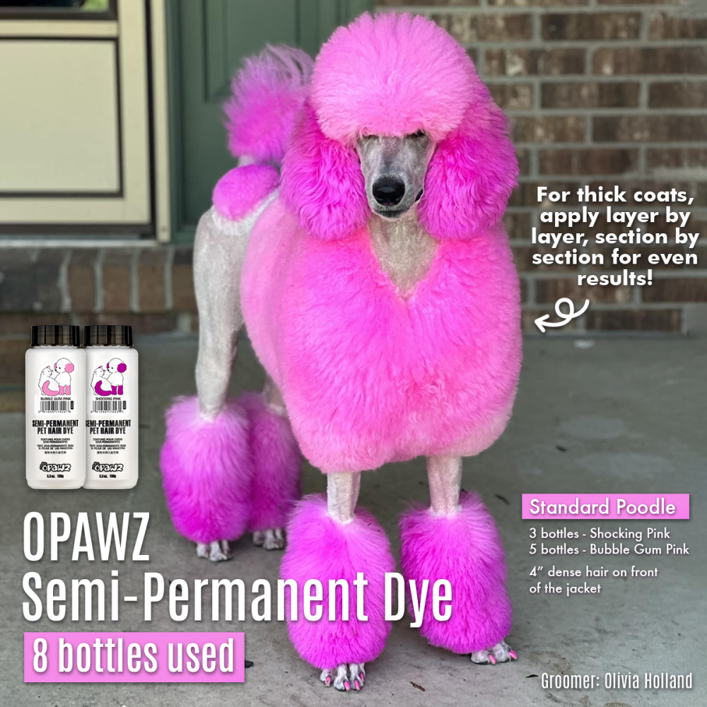 Semi-Permanent Dye - Shocking Pink 4
