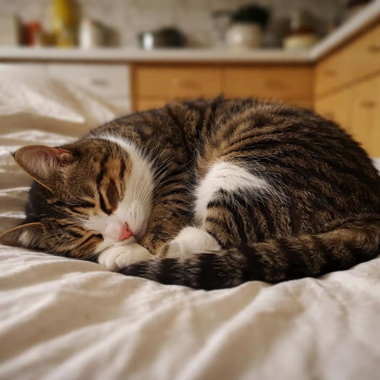 Zoe