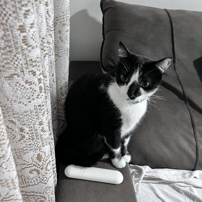 Mia