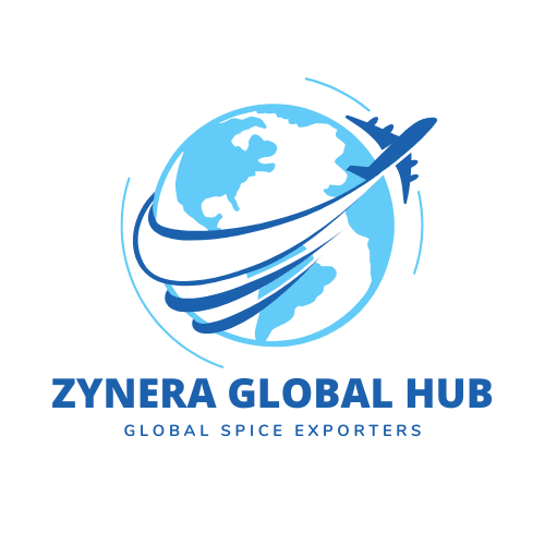 Zyneraglobalhub Logo