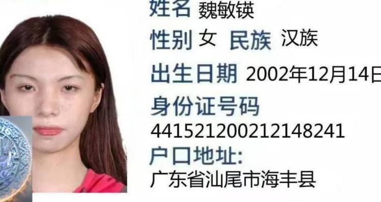 魏敏锳杀猪盘案