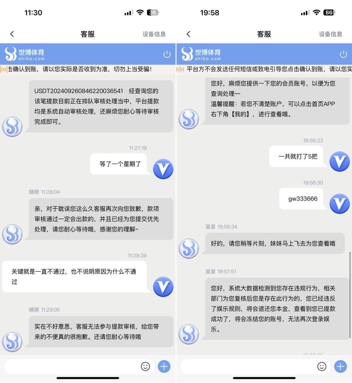 世博体育诈骗案