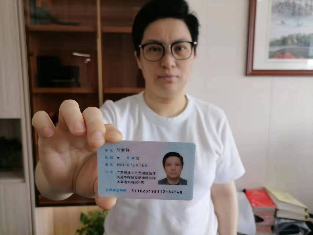 刘梦源诈骗贷款案