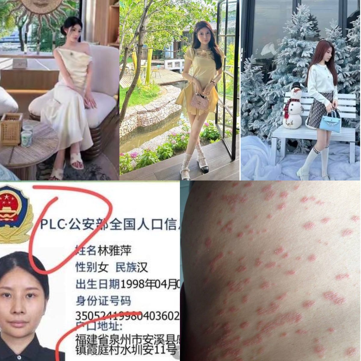 林雅萍骗子曝光