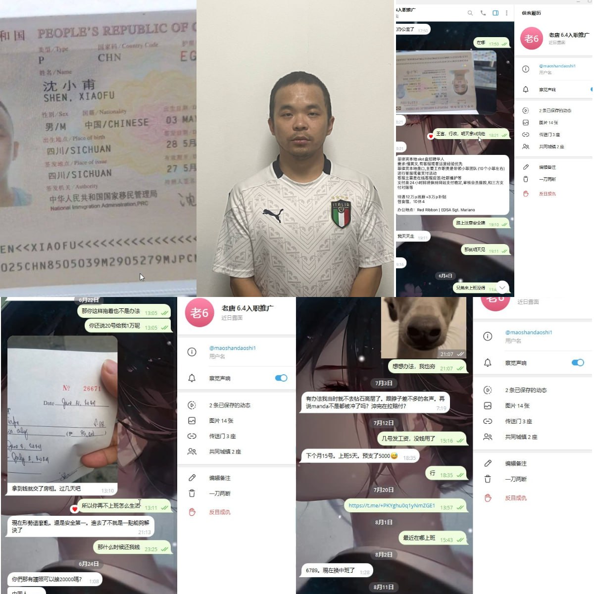 沈小甫欠钱不还