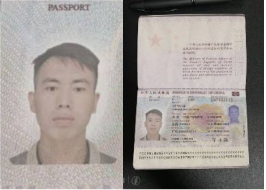 郑伟强偷窃手机