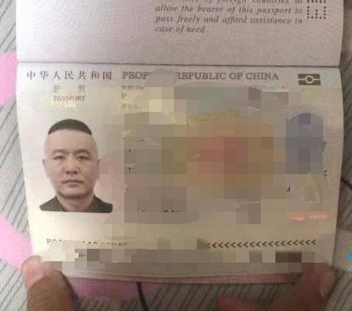 博飞