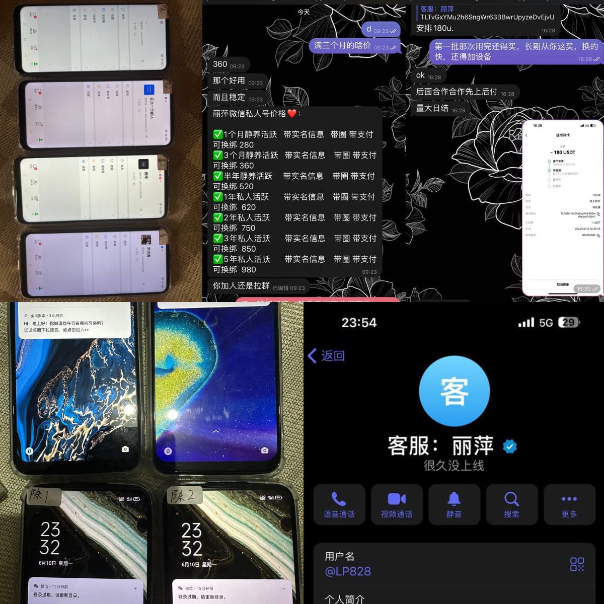 丽萍