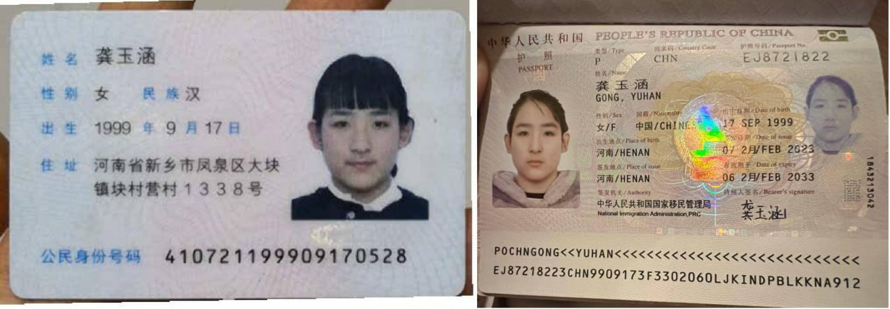 迪迦
