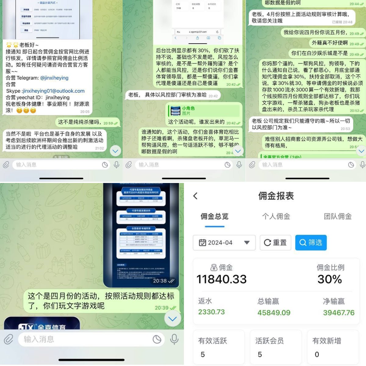 金喜体育