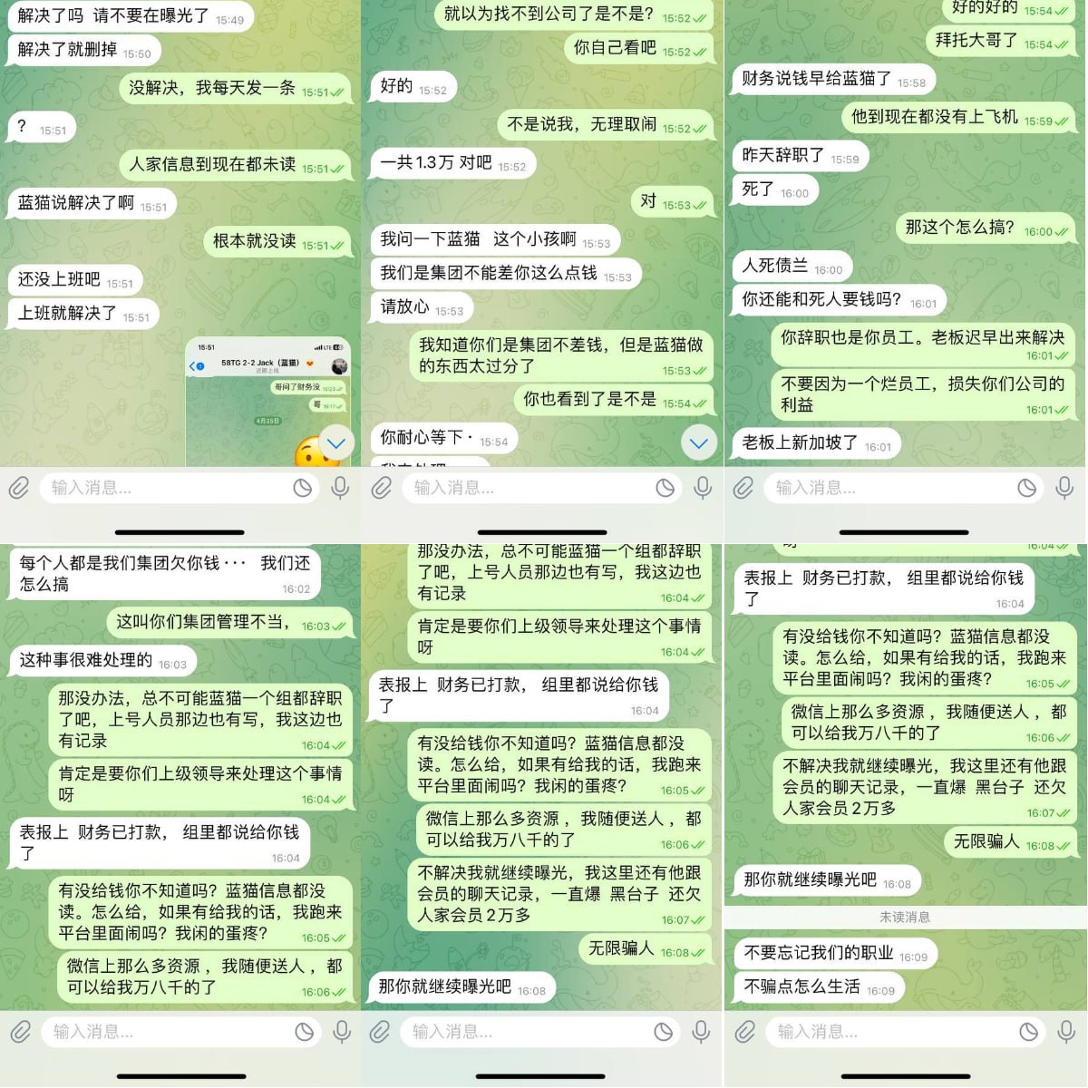 蓝猫