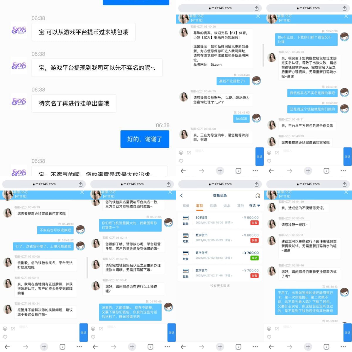 6T体育