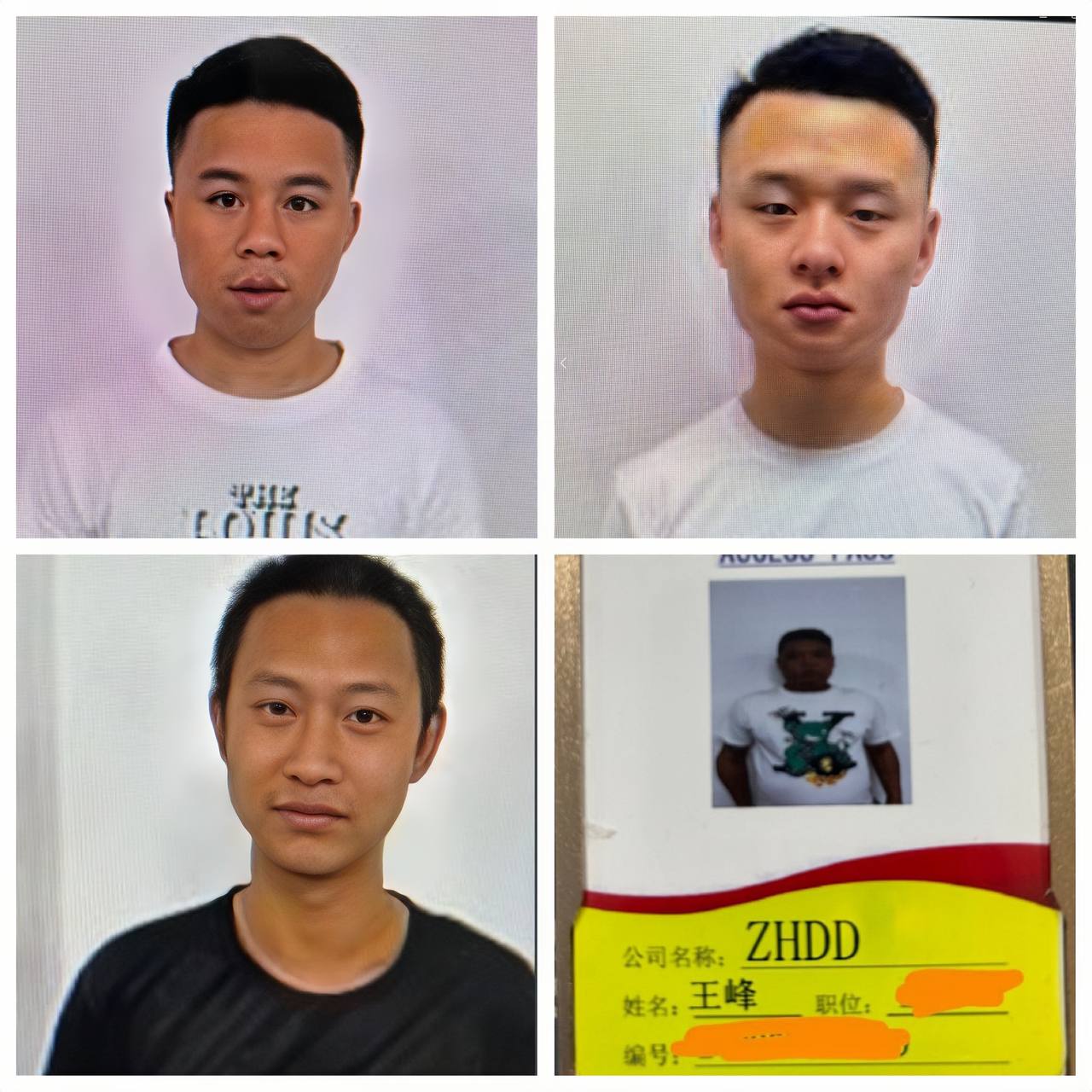 少杰