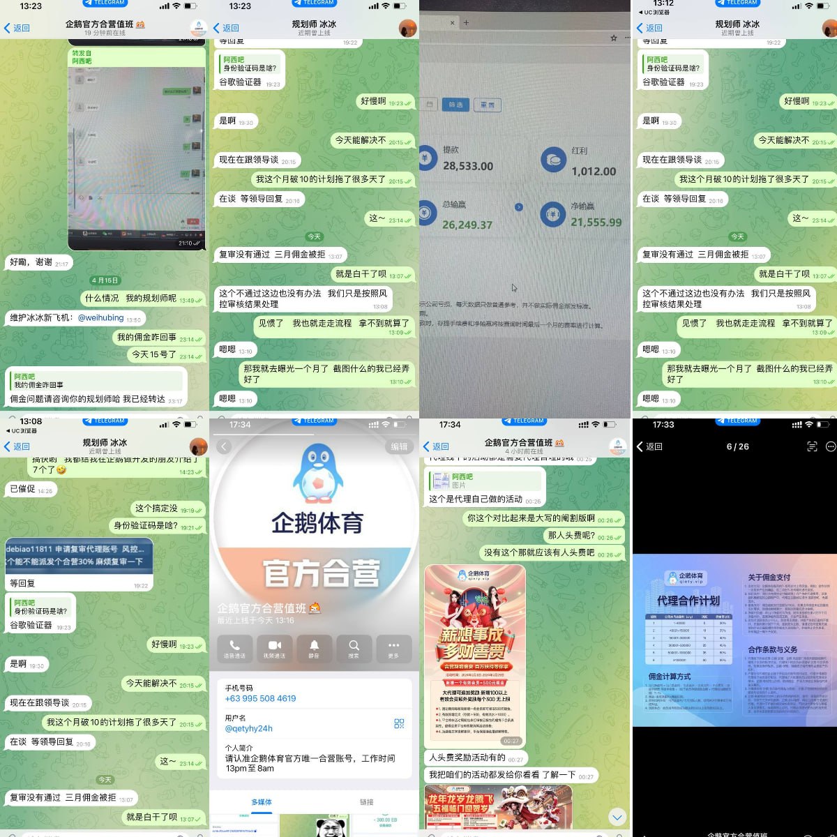 企鹅体育
