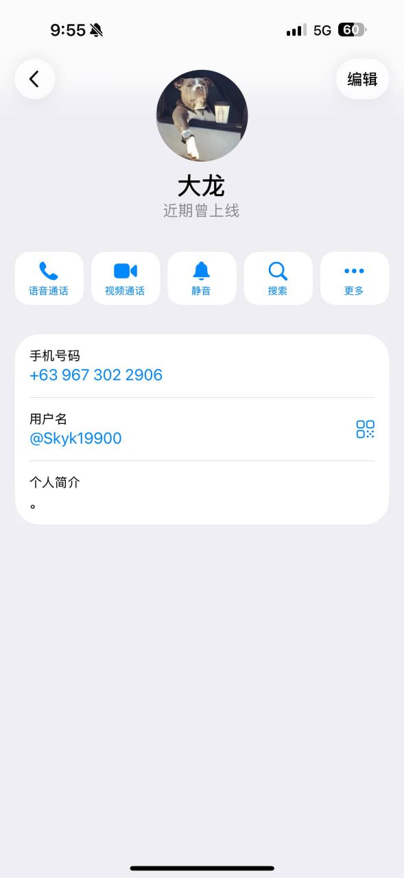 大龙