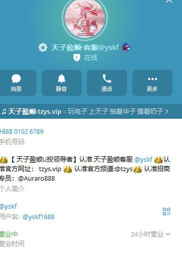 天子盈顺平台诈骗案