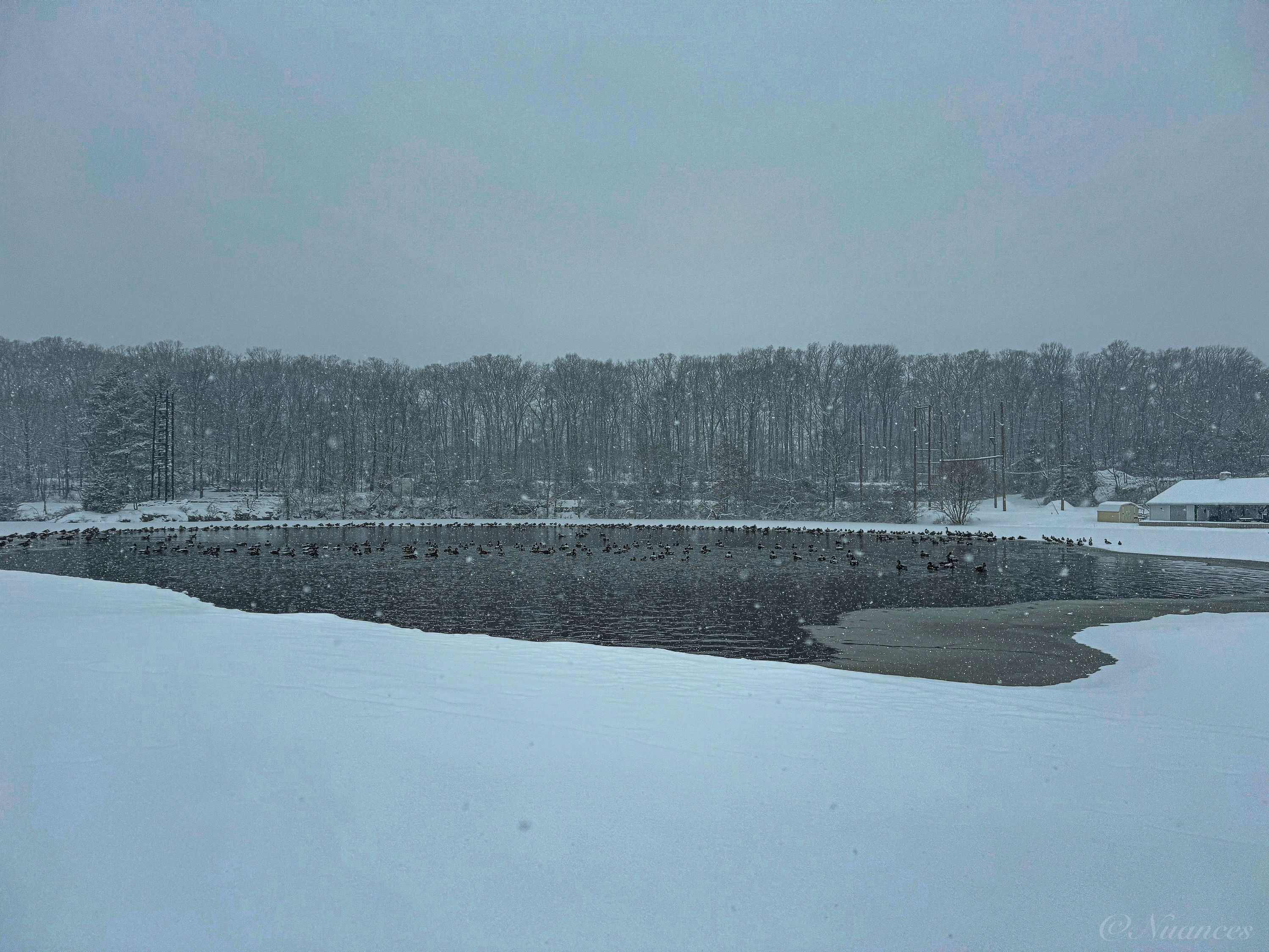 Gallery image 119