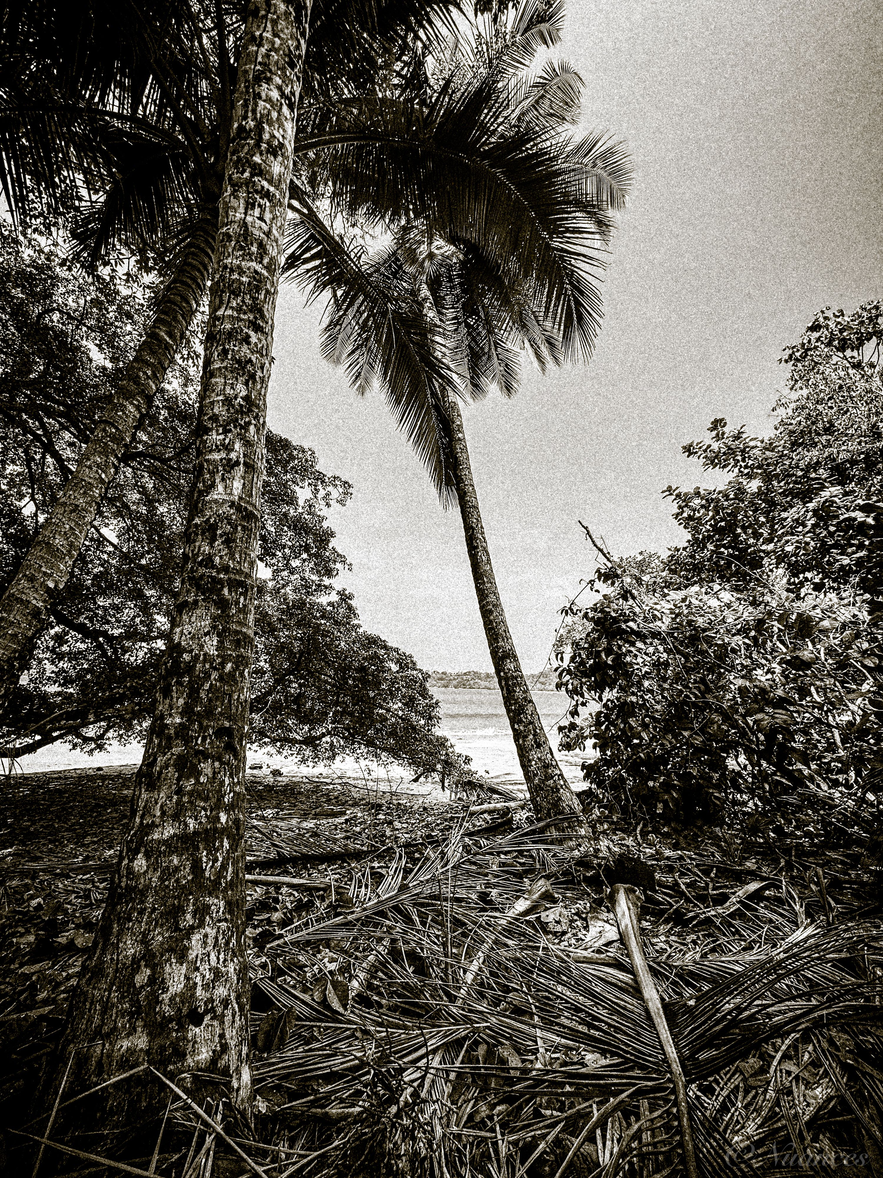 Gallery image 15
