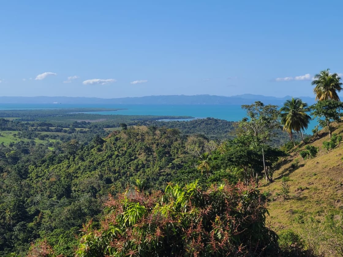 View toward Samaná - Investment opportunity