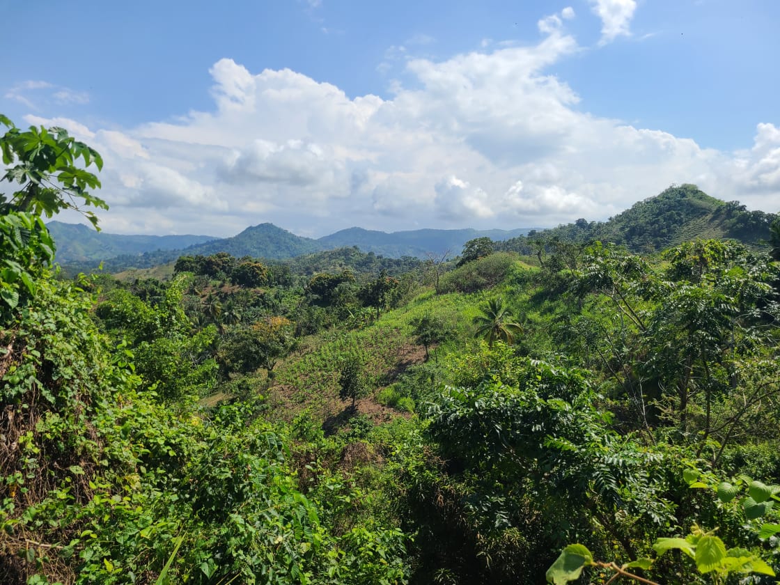 Vue panoramique montagne depuis un bungalow de la propriété Vista Serena, Miches, République Dominicaine