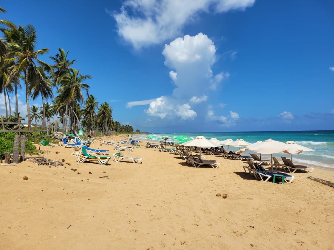 Macao Beach perfect getaway Dominican Republic — white sand, turquoise water, no resort development