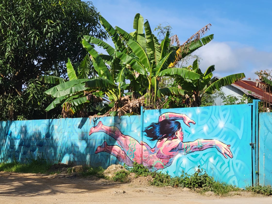 Pueblo Miches arte callejero murales auténtica vida comunitaria dominicana El Seibo