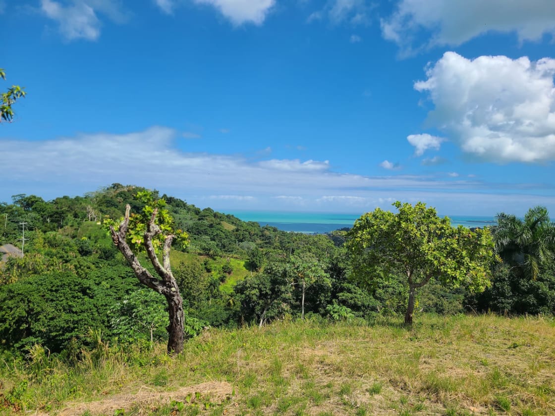 Paysage de Miches — vue de côte caribéenne préservée