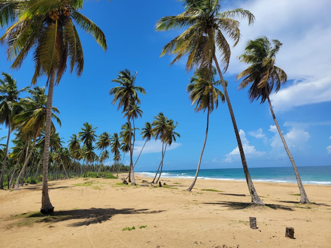 Plage El Limón à Miches, côte vierge sans massification au coucher du soleil, RD