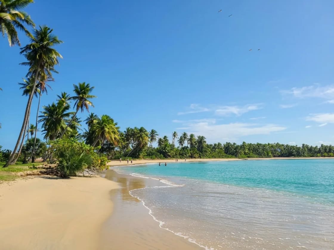 Plage caribéenne préservée près de Vista Serena Miches