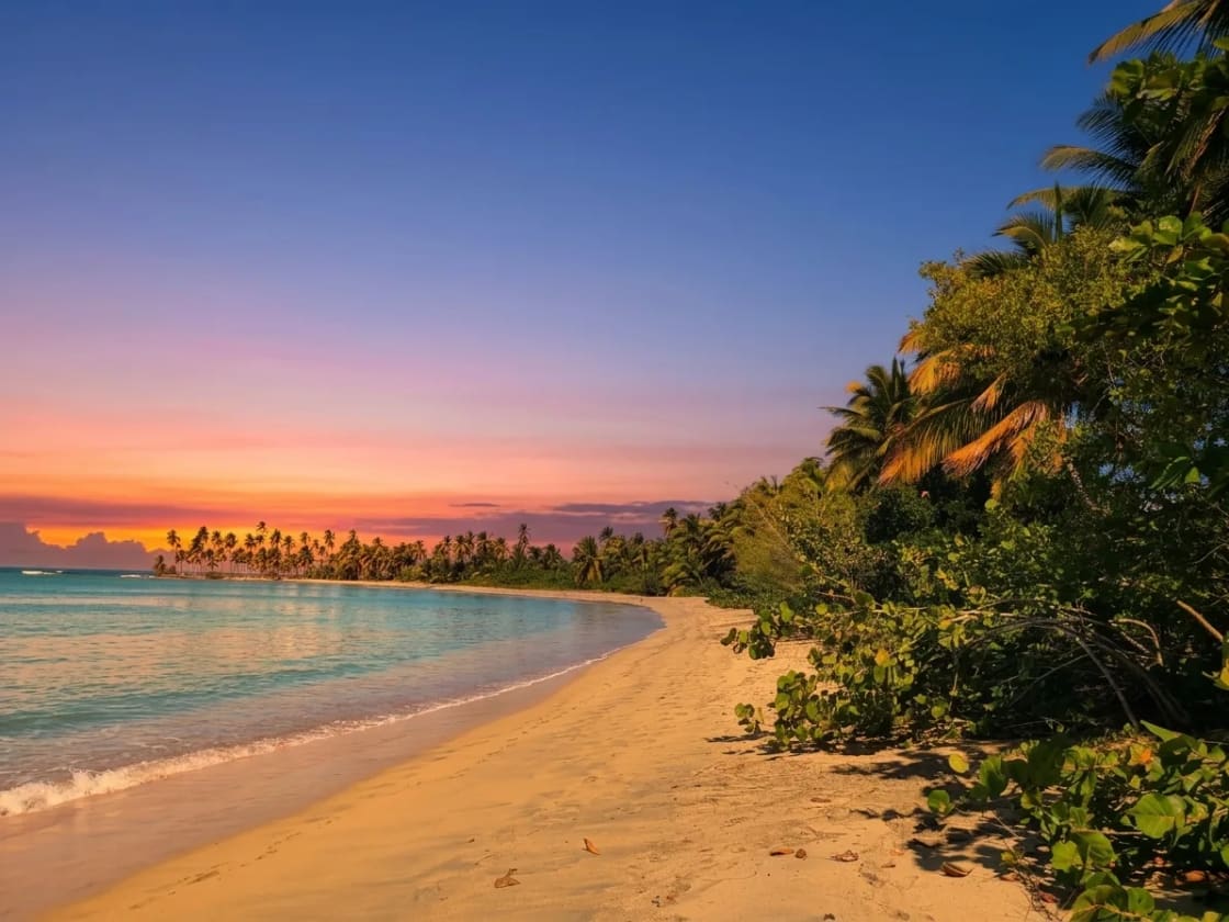 Coucher de soleil doré sur la plage sauvage de Miches : sable clair, eau turquoise et palmiers sous un ciel rose et orangé