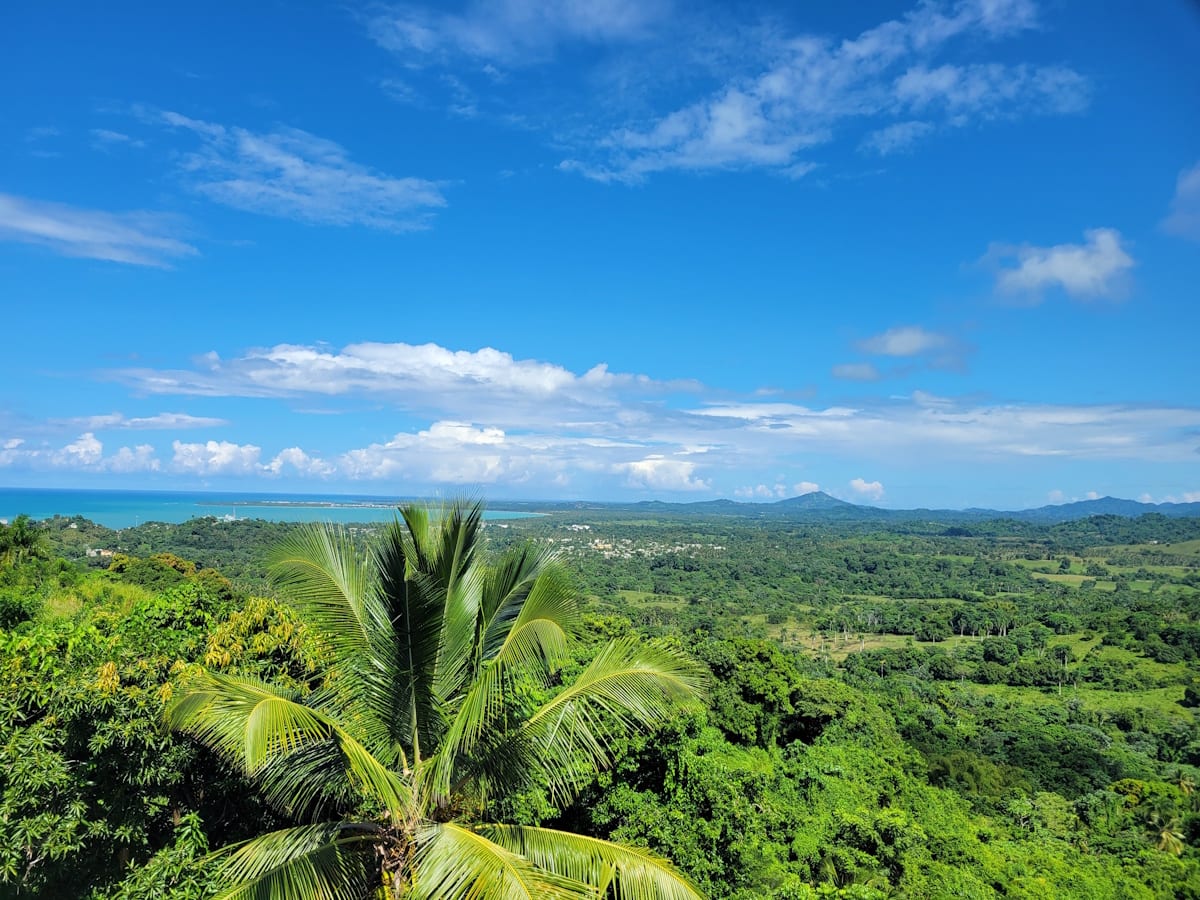 Panoramic view from Vista Serena — palm trees, green hillside, and the turquoise bay of Miches under blue sky