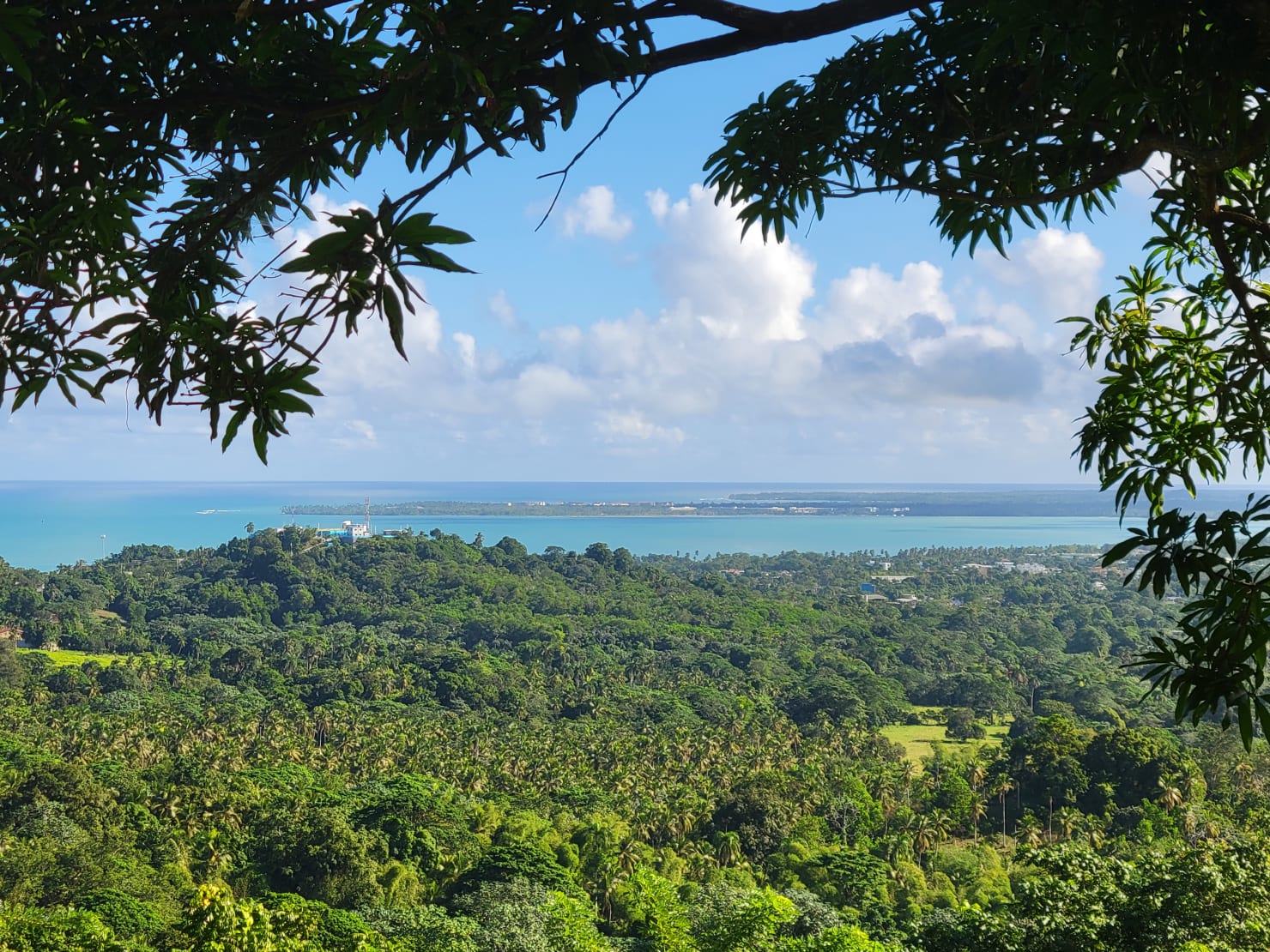 Baie turquoise de Miches vue depuis les hauteurs vertes du domaine Vista Serena — panorama d'ouverture du blog immobilier
